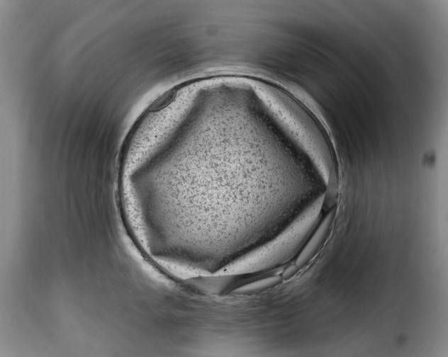 X0000115381005200911241259