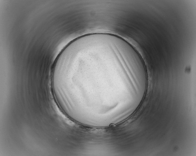 X0000115381006200911241259