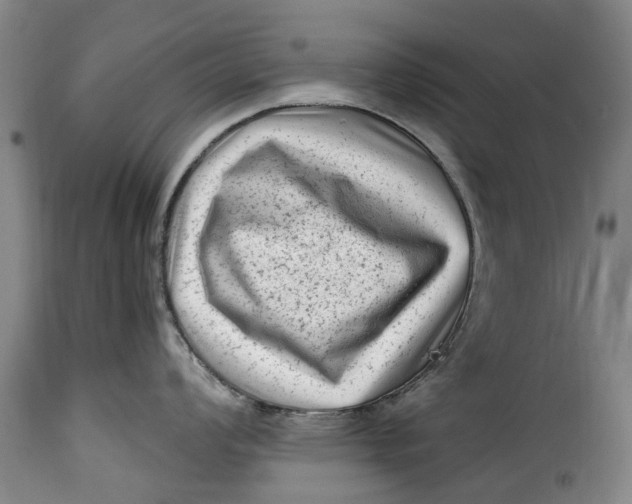 X0000115381008200911241259