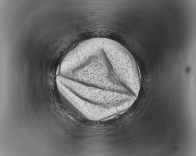 X0000115381010200911241258