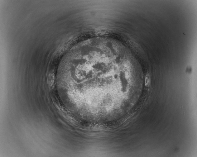 X0000115381011200911241258