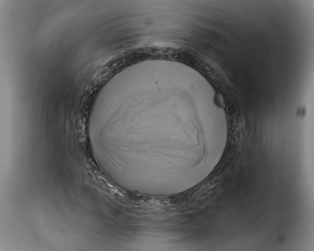 X0000115381013200911241258