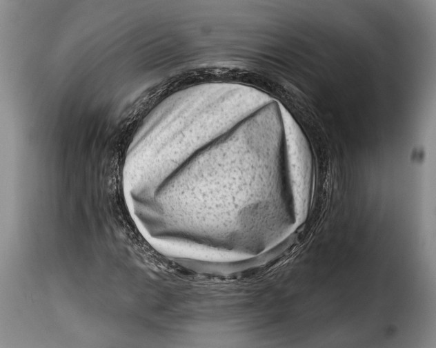 X0000115381014200911241258