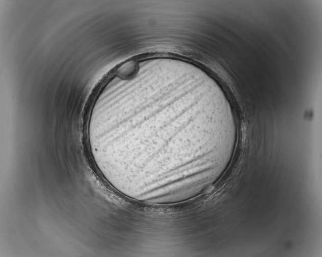 X0000115381020200911241258