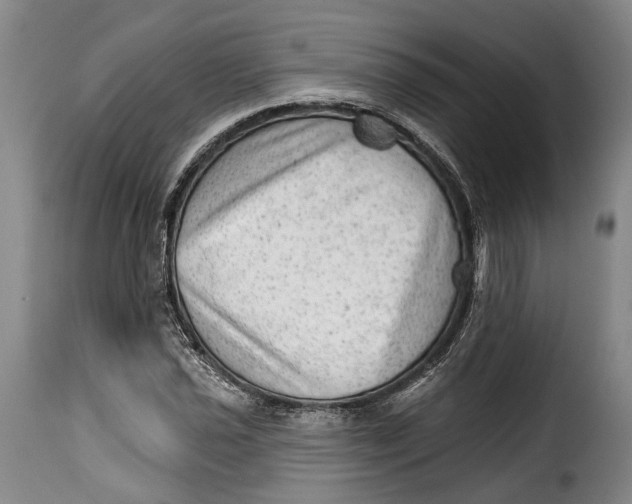 X0000115381021200911241258