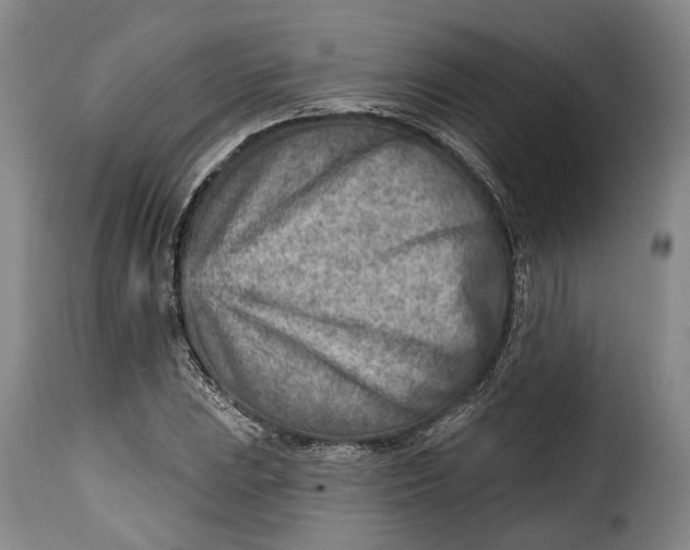 X0000115381023200911241258