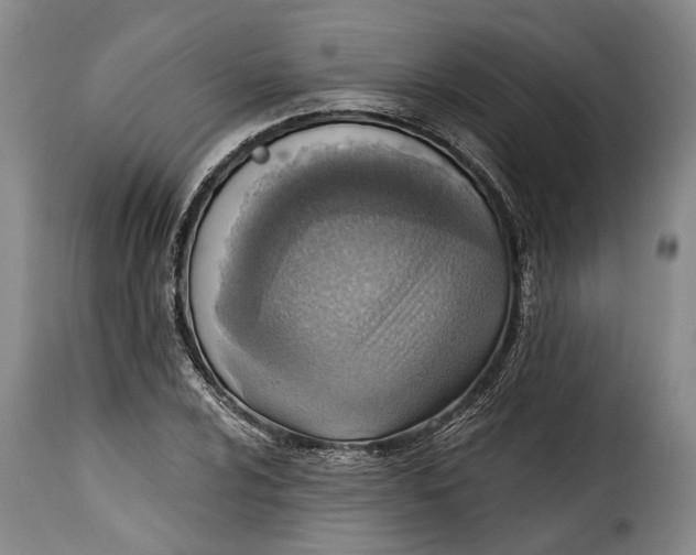 X0000115381024200911241258