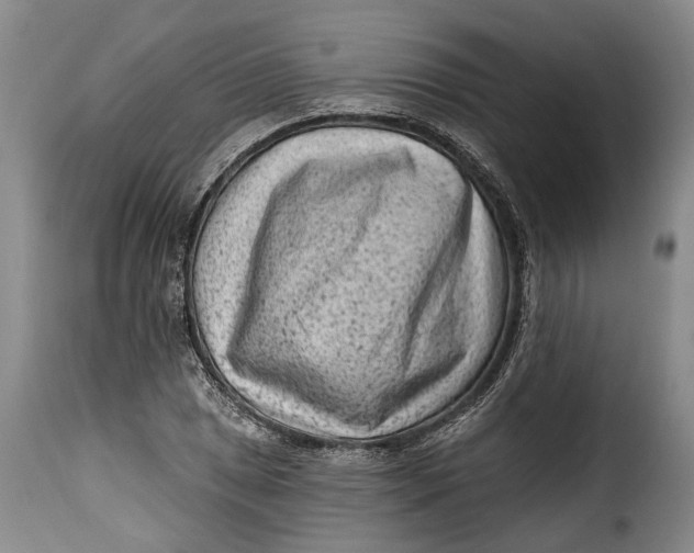 X0000115381025200911241258