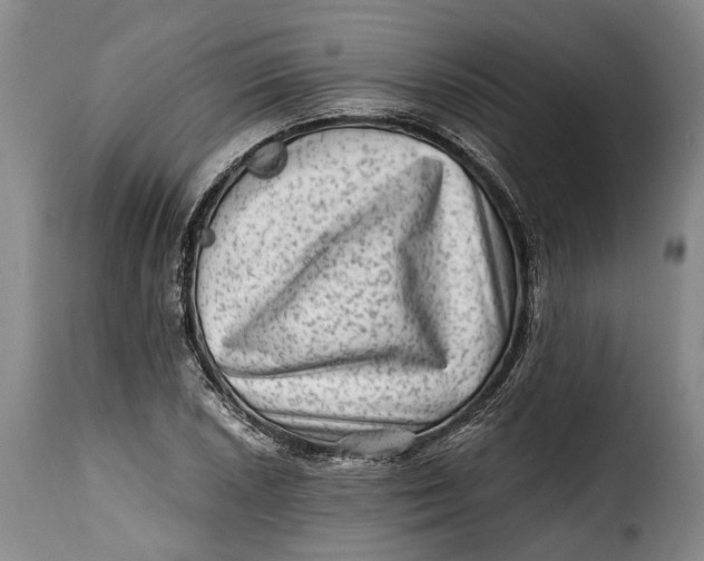 X0000115381026200911241258