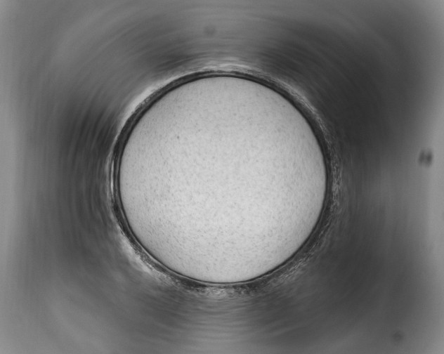 X0000115381032200911241258