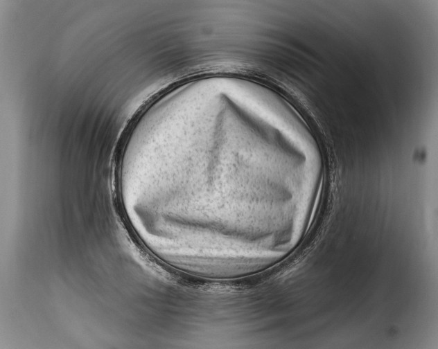 X0000115381034200911241259