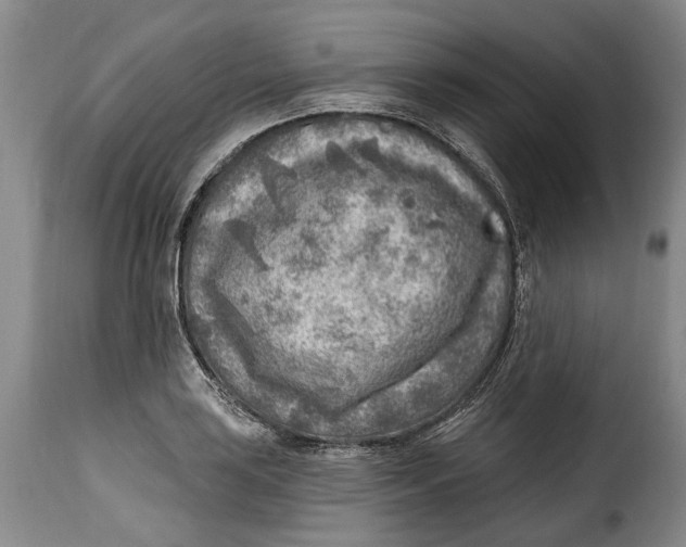 X0000115381035200911241259