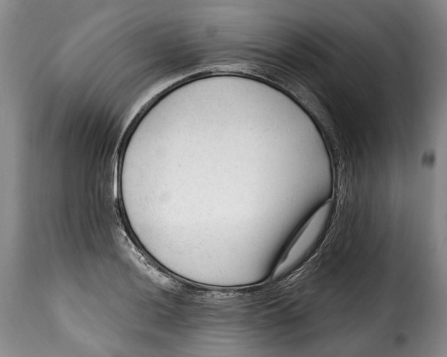 X0000115381036200911241259