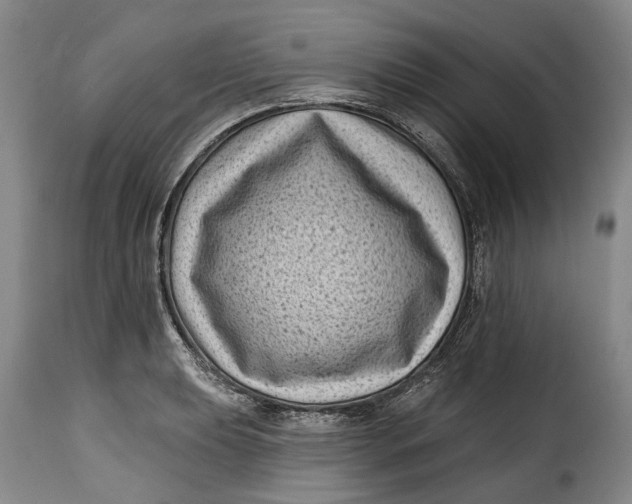 X0000115381039200911241259