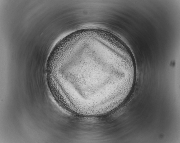 X0000115381045200911241259