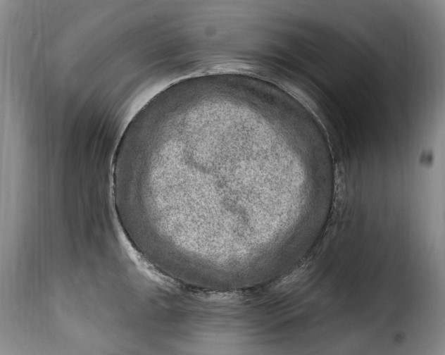 X0000115381047200911241259