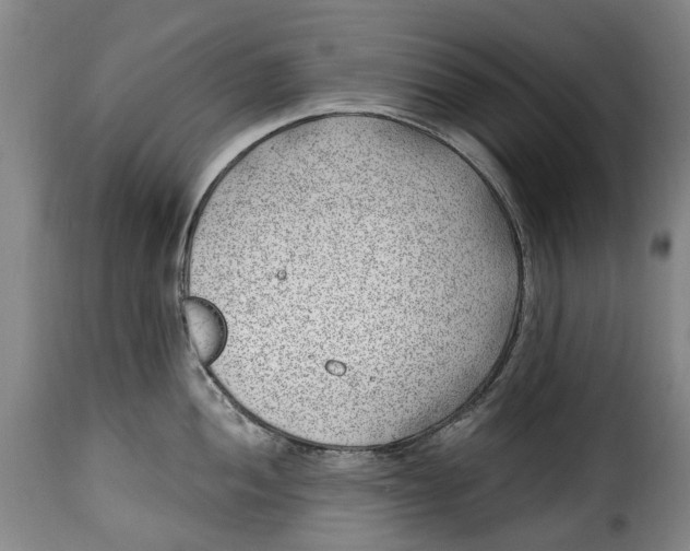 X0000115381052200911241259