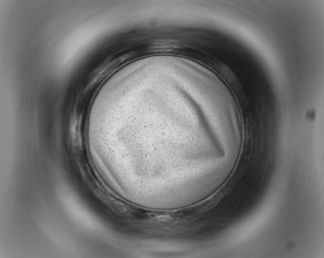 X0000115381054200911241259