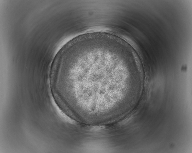 X0000115381055200911241259