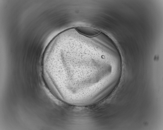 X0000115381056200911241259