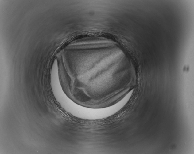 X0000115381057200911241258