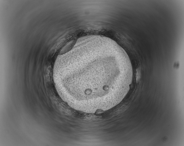 X0000115381059200911241258