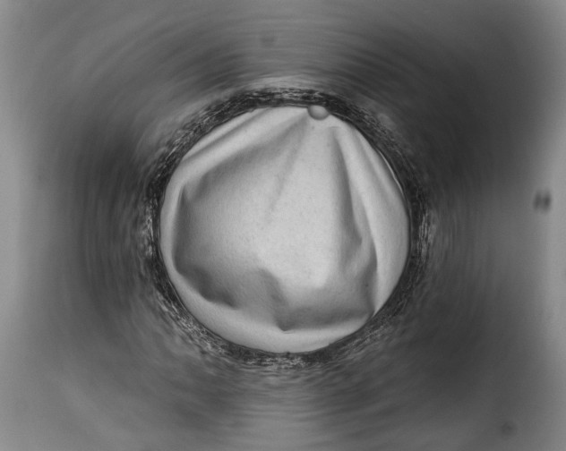 X0000115381062200911241258