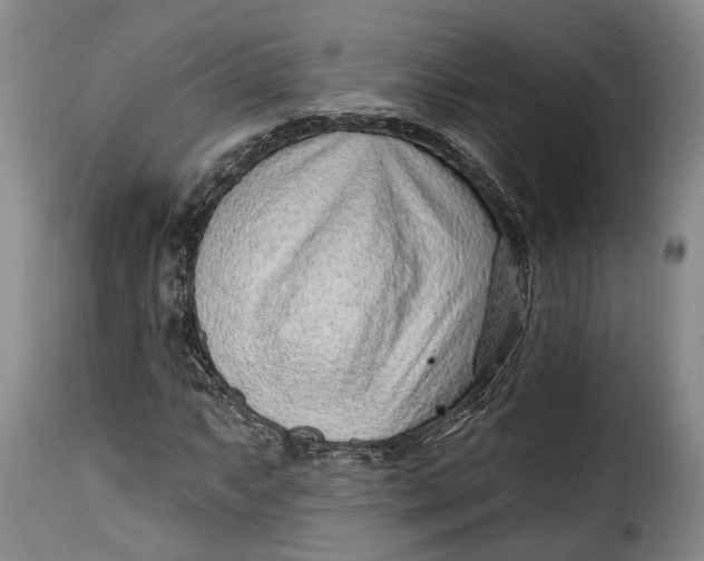 X0000115381063200911241258