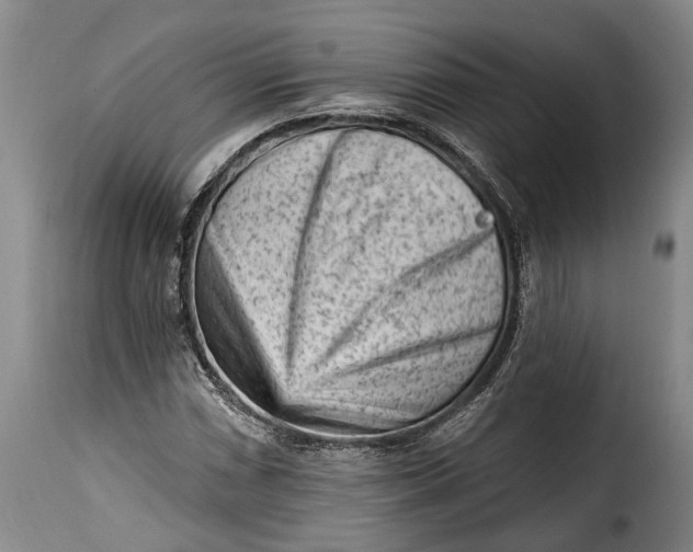 X0000115381066200911241258