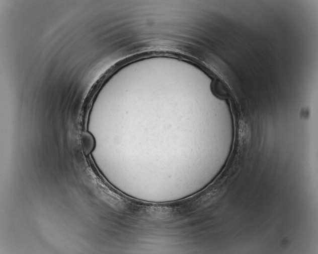 X0000115381068200911241258