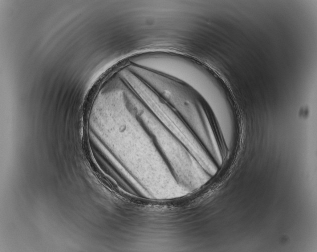 X0000115381069200911241258