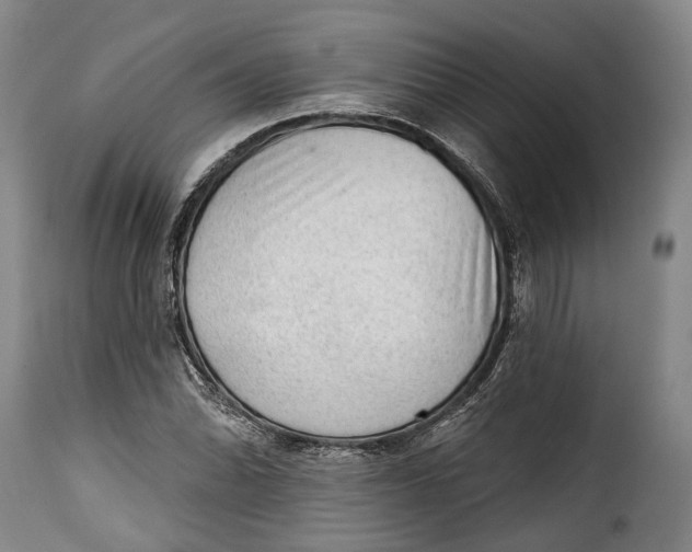 X0000115381070200911241258