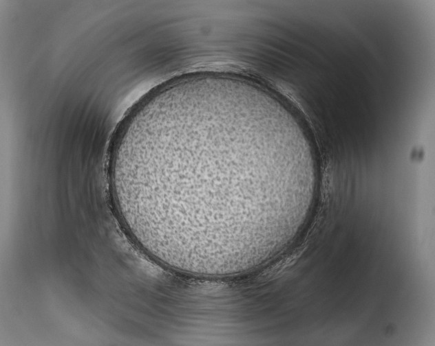 X0000115381071200911241258