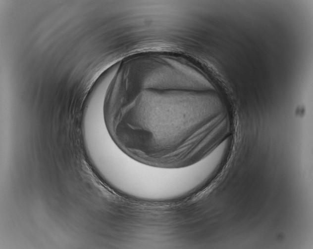 X0000115381073200911241258