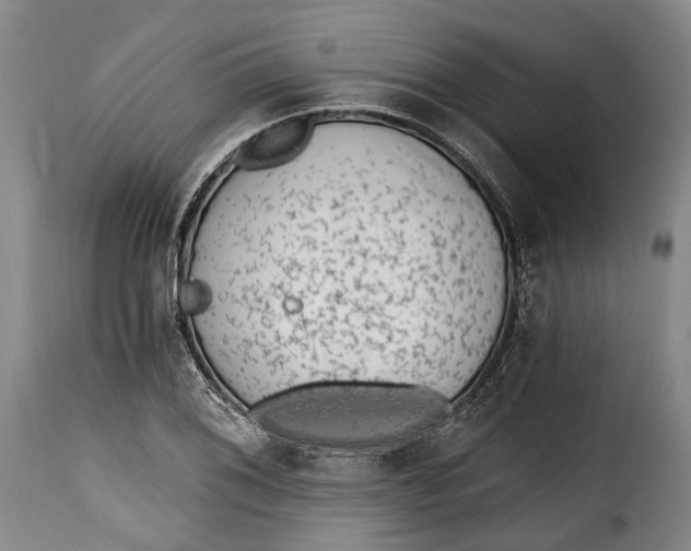 X0000115381076200911241258