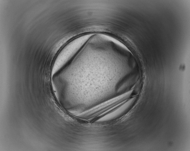 X0000115381081200911241258