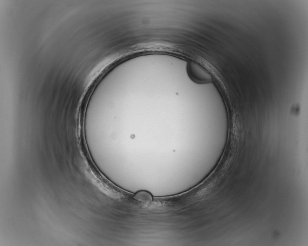 X0000115381082200911241258