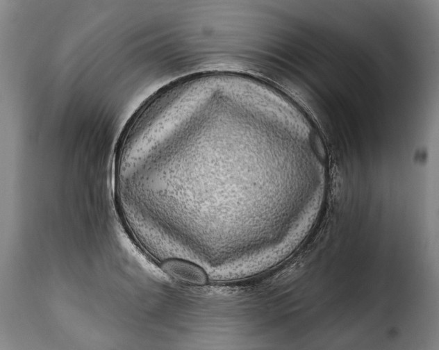 X0000115381084200911241258