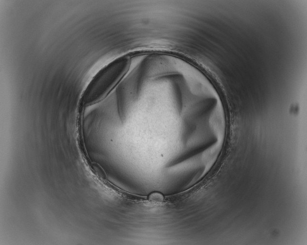 X0000115381085200911241258