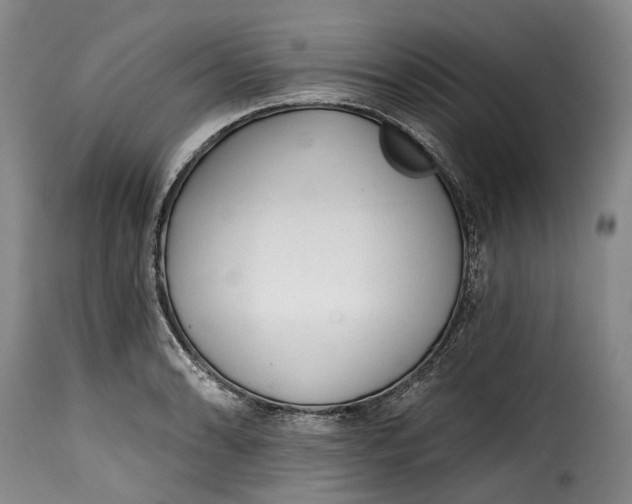 X0000115381086200911241258