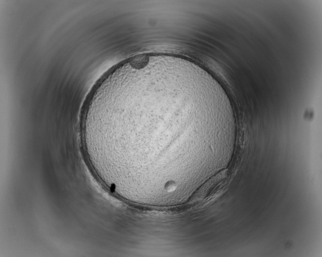 X0000115381087200911241258