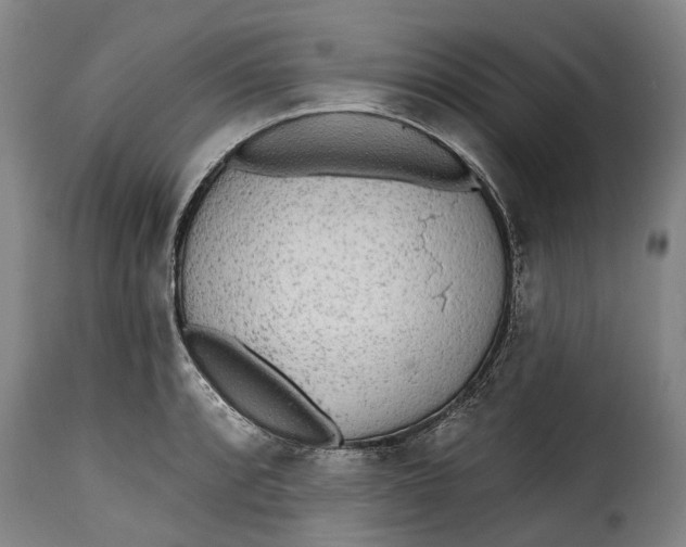 X0000115381088200911241258