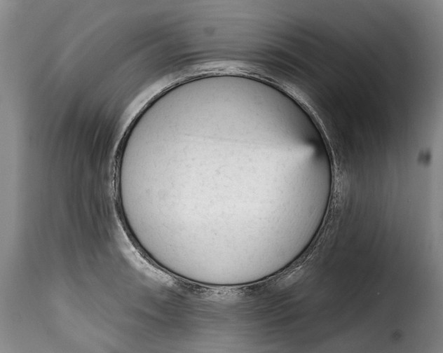 X0000115381090200911241258