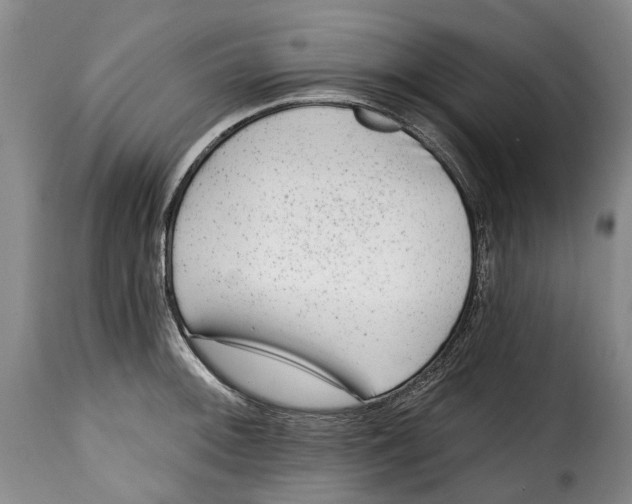 X0000115381092200911241258