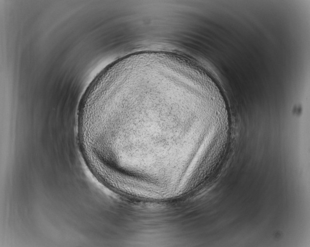 X0000115381095200911241258