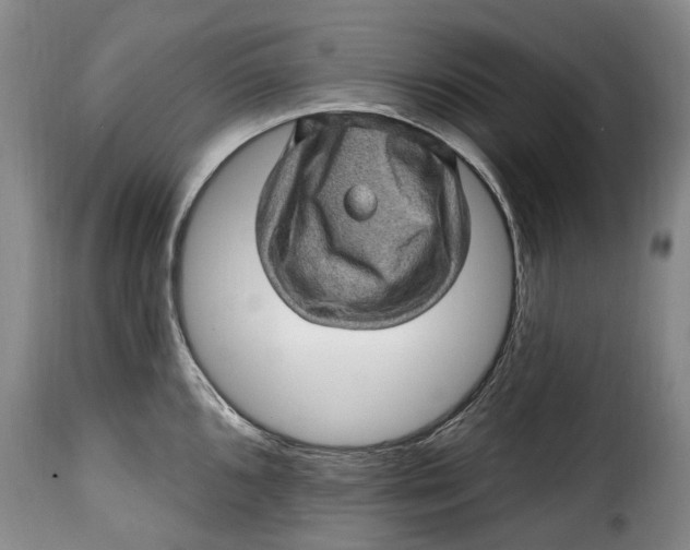 X0000115381096200911241258