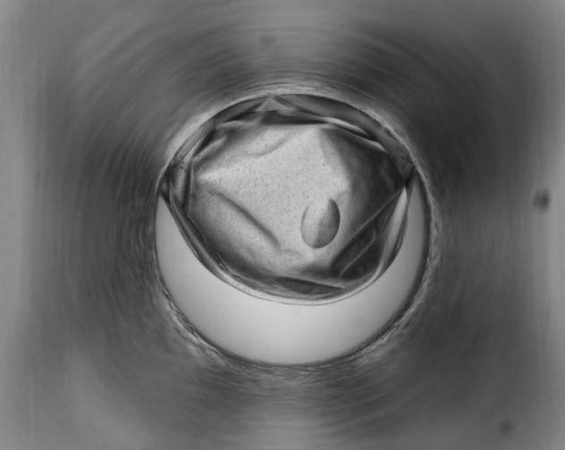 X0000115381097200911241258