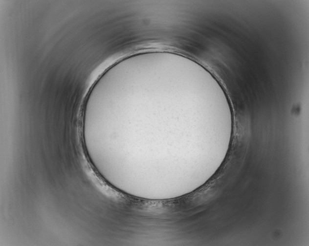 X0000115381098200911241258