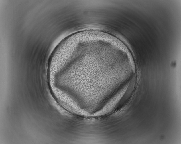 X0000115381099200911241258