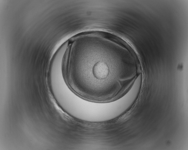 X0000115381101200911241258